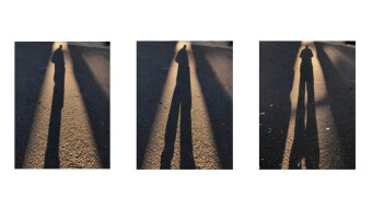 Golden Shadows