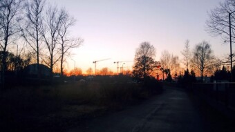 Today it already smelled like summer - My Actifit Report Card: February 28, 2026