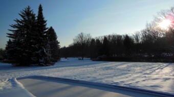 A light winter, little sun, but the walking result was normal - My Actifit Report Card: January 12 2024