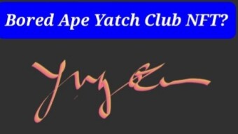 Controversial questions over bored ape NFT hack incident