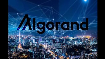 Algorand - Proof of Stake allo stato Puro