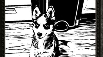 Why I make NFT Art