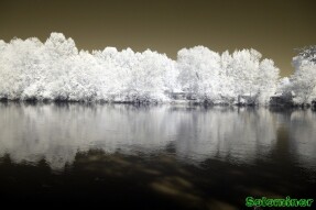 Infrared Photography - Looking across the Chattahoochee river