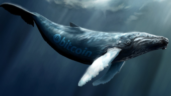 50% of the all Major Crypto Coins are Down by BITCOIN WHALE?