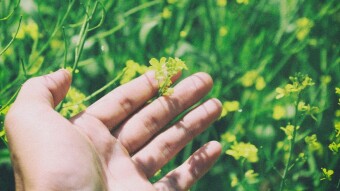 Understanding Human Nature and the Human Condition