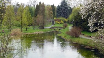 The greenery is beautiful, although a bit chilly, it's spring in full swing