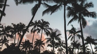 Duping tourists (5 minute freewrite)