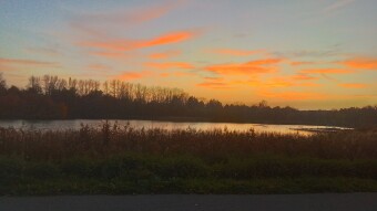 October Monday, unusually warm, but the time change is not positive - My Actifit Report Card: October 28 2024