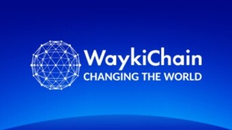 Is WaykiChain (WICC) A Good Investment? In-depth Analysis and Near to Longer-Term Expectations