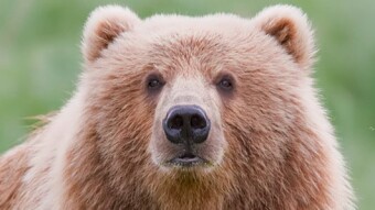 3 Tactics To Thrive in the Oncoming Bear Market (Crypto and Stock Tips)