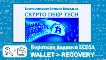 Bitcoin Wallet Recovery via ECDSA Short Signatures