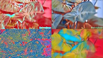 Macro plant leaves - Style Transfer Art