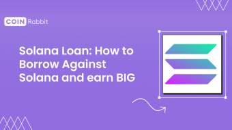 Solana Lending: How to Borrow Against Solana and earn BIG