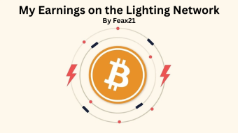My Earnings on the Lighting Network