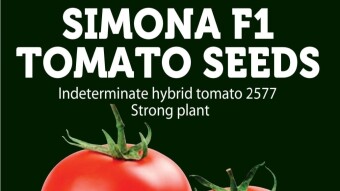 SIMONA F1 TOMATO VARIETY