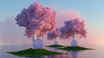Difference between Centralized and Decentralized Cryptocurrency Exchang