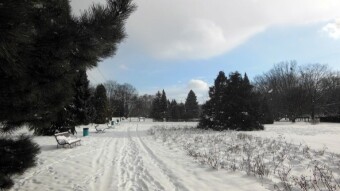 Confusion and confusion, sun, snowstorms, snowstorms and blizzards, rain - My Actifit Report Card: January 16 2024