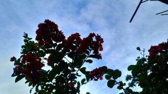 Nature photography