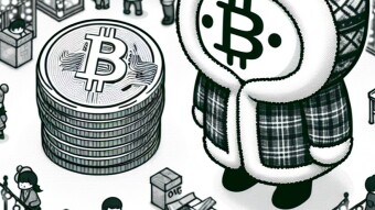 Daily Crypto Holiday-Market Update - December 24, 2024