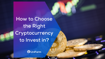 How to Choose the Right Cryptocurrency to Invest in?