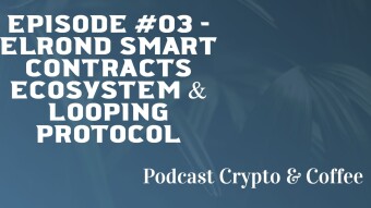 Episode #03 - Elrond Smart Contracts Ecosystem & Looping Protocol