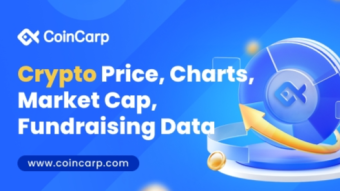 CoinCarp’s Exclusive IDO List!