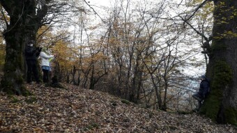 Fall in Mountains, The Last Days of Autumn, and Withered Leaves