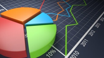 Maintaining Your Crypto Garden - Asset Management Tips and Tricks