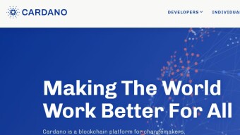 40% of Singapore Crypto Investors are Cardano Holders