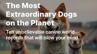 The Most Extraordinary Dogs on the Planet