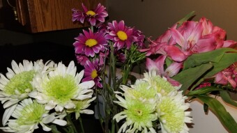What's the deal with cats and flowers?