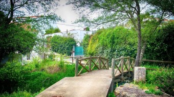 The smallest international bridge in the world