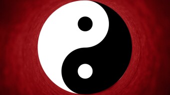 Trading New Highs: Robonomics Case Study