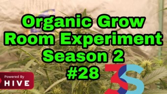 Organic Grow Room Living Soil Experiment Season 2 #28
