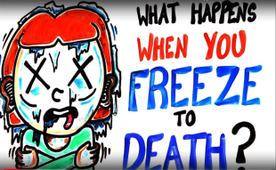 What Actually Happens When You Freeze To Death?