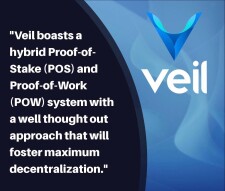 VEIL: Taking Privacy in Crypto Transactions to the Next Level