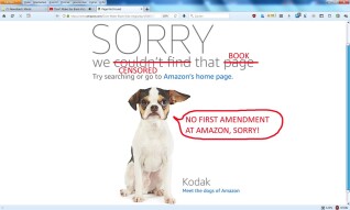 New book: Don’t Make the Black Kids Angry by Colin Flaherty CENSORED at Amazon