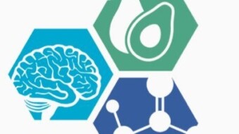 What is Metabolic Health?