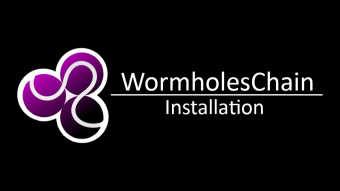 Wormholes Testnet Installation