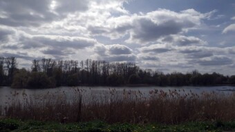 Today a lot of steps in the icy wind - My Actifit Report Card: April 10, 2025
