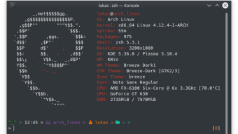 How To Rice Your Linux-Terminal