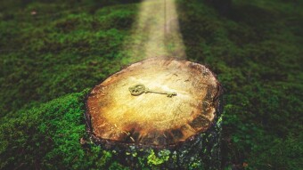 Accomplishment Of Success Focuses On Discovery Of Purpose
