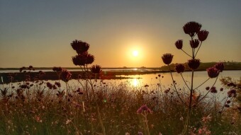 My Sunset Photos #26