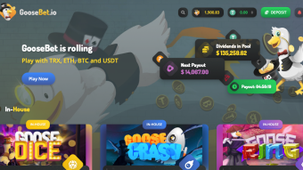 GooseBet Crypto Casino Offers Awesome Daily Income! How to Get More GBT Tokens (profit share) with the Dice Game!