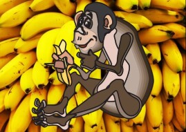 We are... Banano Fans!