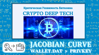 Jacobian Curve Coordinate Manipulation: Exploring the Vulnerability of a Fake Signature Using a Bitcoin Wallet Decodable File