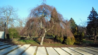 Beautiful December sun and the mystery of the monument - My Actifit Report Card: December 30 2022