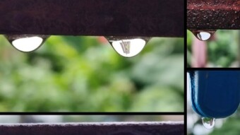 WATER DROPS Photography.