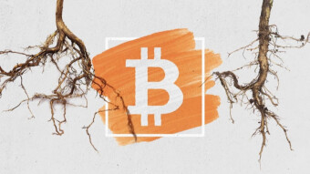 Bitcoin Schnorr/Taproot Soft Fork Update