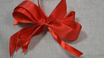 The Girl with the Red Ribbon
